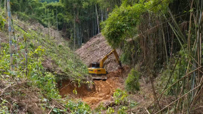 林間“藏龍”，竹?！芭P虎”——徐工林業(yè)挖機(jī)廣西俠客行